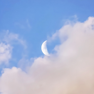 国产bdsmbongde绳艺
